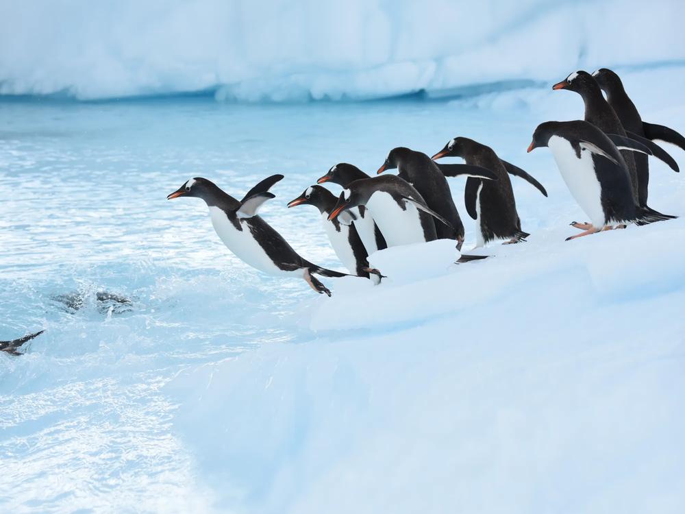Ice and peaks around Cuverville Island and Paradise Bay, Antarctica
